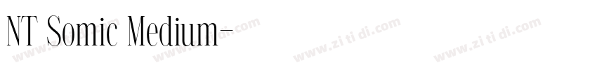 NT Somic Medium字体转换